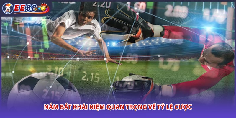 Nắm bắt khái niệm quan trọng về tỷ lệ cược